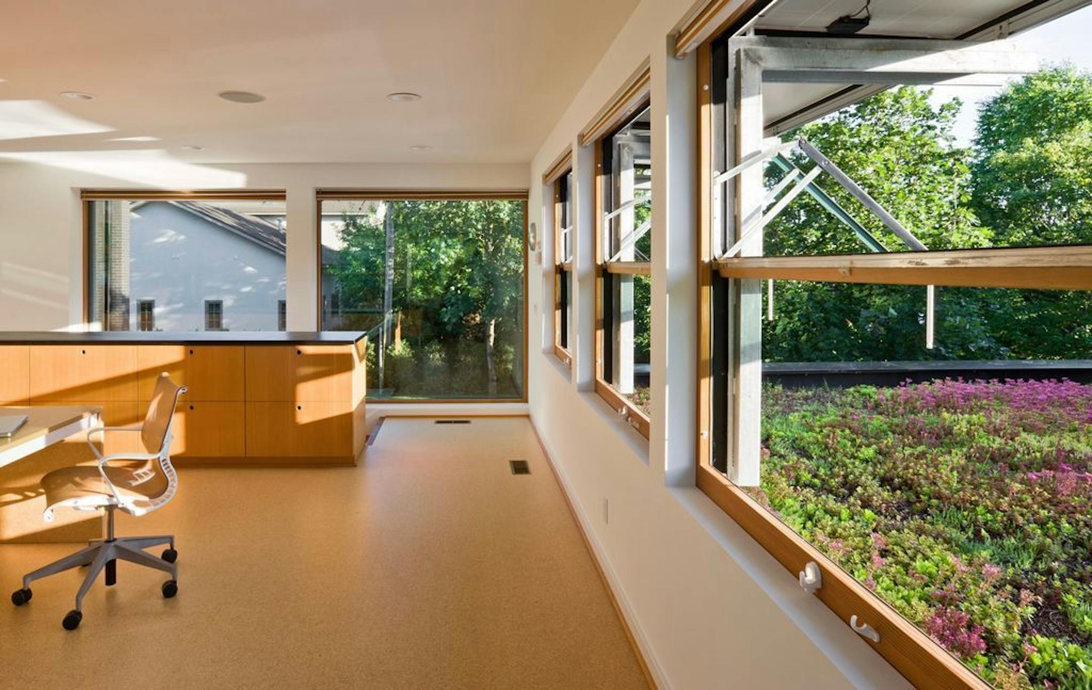 The green roof outside her office is planted with hardy, drought tolerant sedum, which produces flowers in a variety of colors. The office has a cork floor.