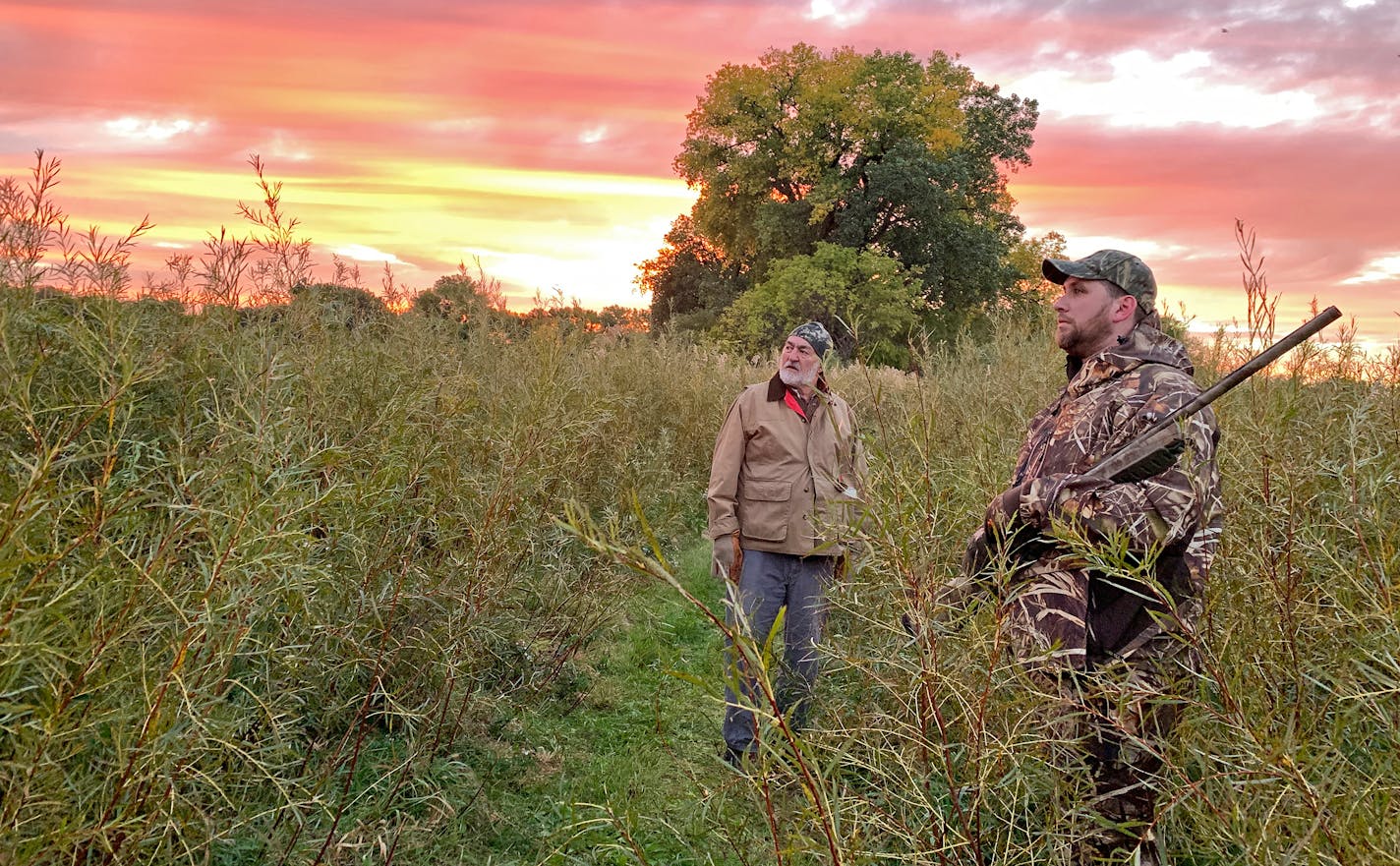 Minnesota hunters, like waterfowlers in some other states of the Mississippi Flyway, are seeing, and shooting, fewer ducks than they once did.