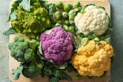 Now is a good time to embrace fall's pleasures, and brassicas such as broccoli, cauliflower and Brussels sprouts, fit the bill. Story by Beth Dooley, 