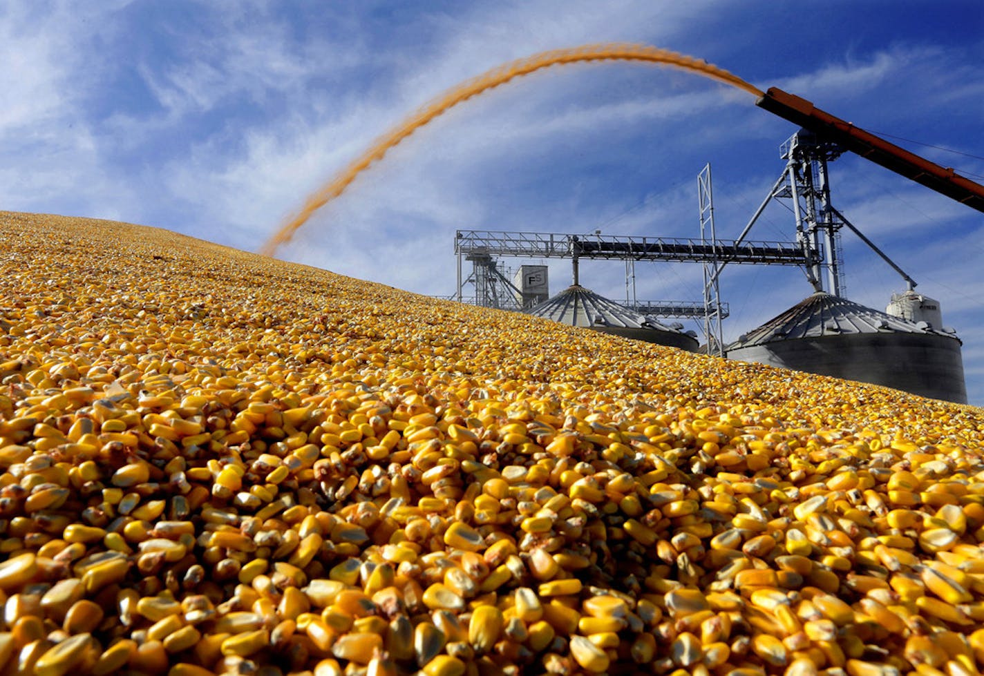 In this Wednesday, Sept. 23, 2015 photo, a central Illinois farmers deposit harvested corn outside a full grain elevator Virginia, Ill. Federal agriculture officials say the harvest is drawing to a close in Illinois. The USDA's weekly crop report issued Monday, Nov. 2, 2015, says the corn harvest is 96 percent finished in Illinois and is far ahead of last year at this time. (AP Photo/Seth Perlman) ORG XMIT: ILSP104