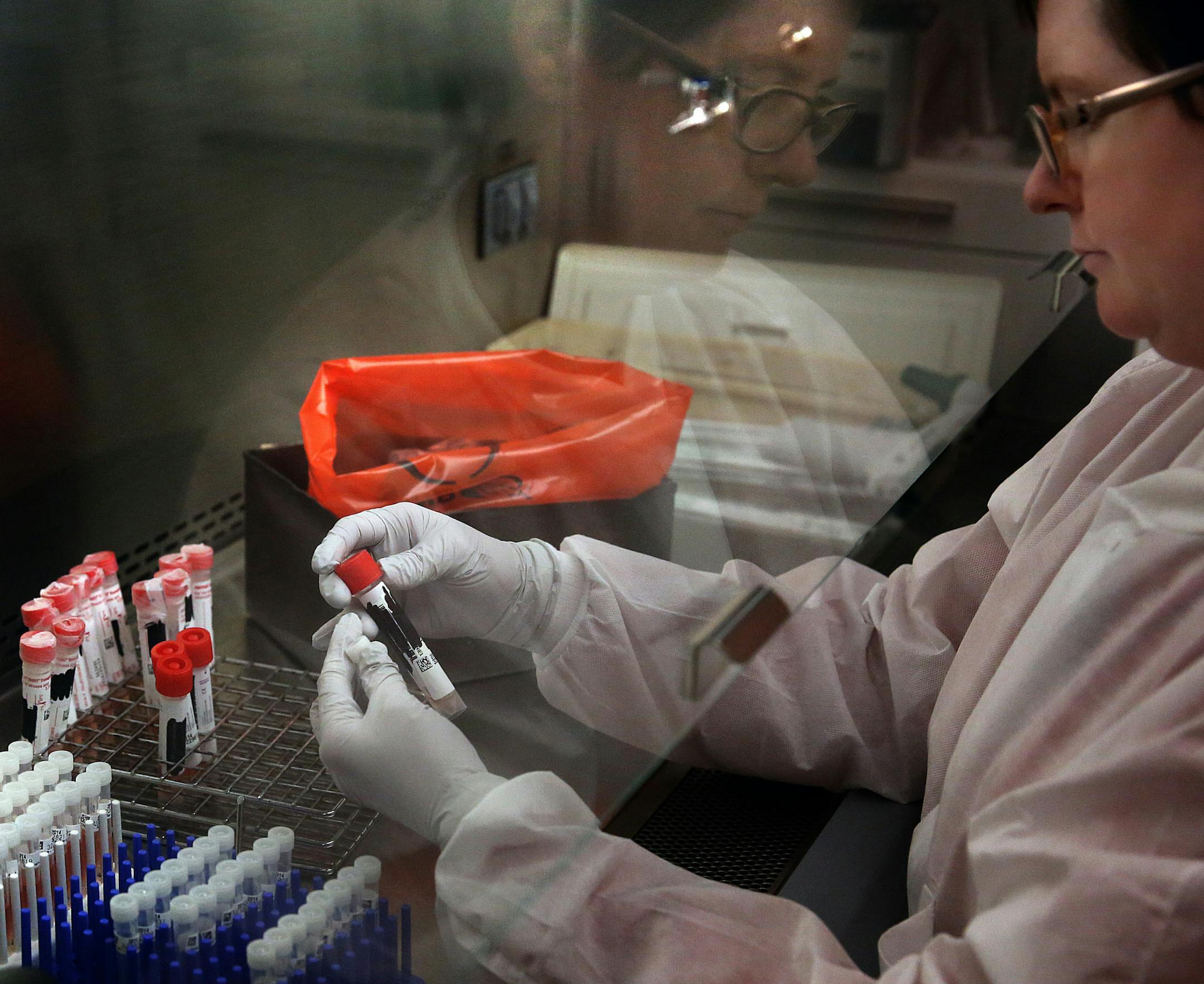 Sarah Bistodeau, a bacteriologist II at the Minnesota Department of Health, tested respiratory samples from around the state for influenza in the state‚Äôs Infectious Disease Laboratory in St. Paul. Bistodeau tested more than 200 samples on Thursday. ] JIM GEHRZ ‚Ä¢ james.gehrz@startribune.com / St. Paul, MN / December 18, 2014 /3:30 PM