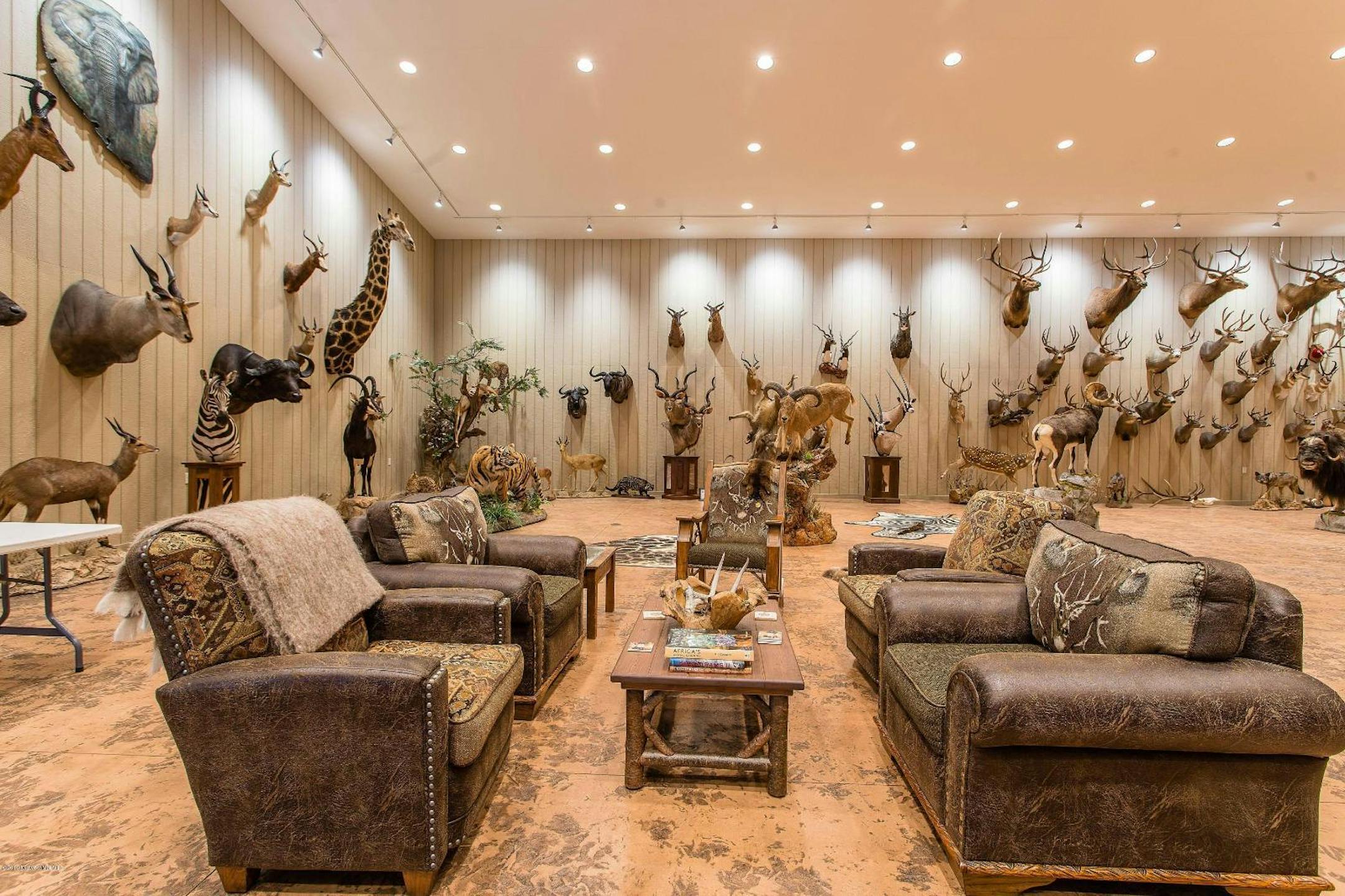 The trophy room at Jerry Hennessey's former home in rural Dalton, Minn. Hennessey is in prison after his conviction for stealing more than $5.4 million from the grain elevator he managed in Ashby, Minn., and spending much of it on exotic safaris and taxidermy.