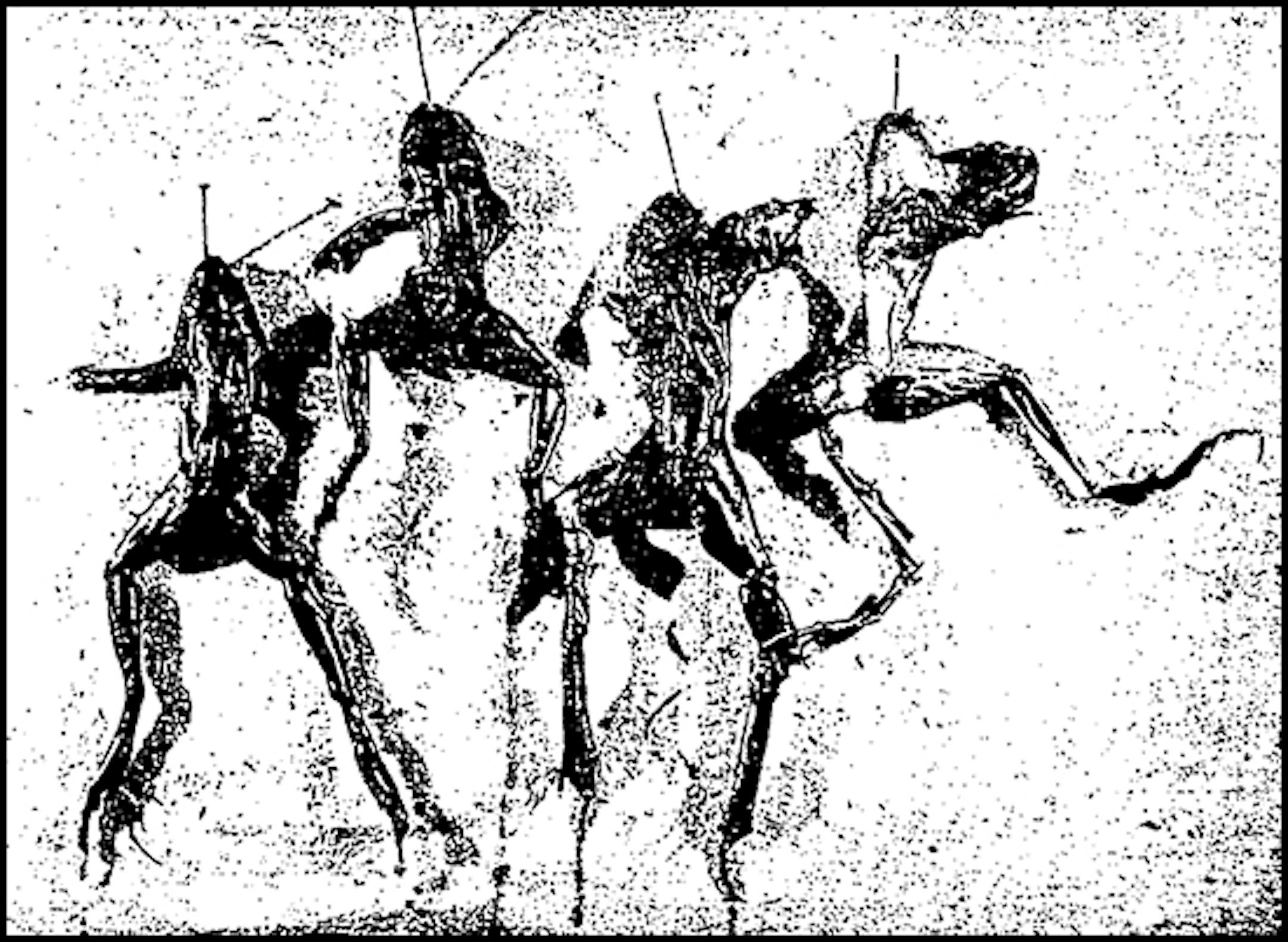 Photo of fronts on Minneapolis Tribune's front page, Feb. 9, 1899. THey came out of firehoses and automatic sprinkler system at fire at Minneapolis Bedding company.
