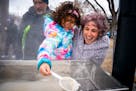 Payton Del Rosario and her mom, Melissa, strain evaporated syrup at the community sap boil at King Park on March 16 in Minneapolis. The Urban Sap Tap 
