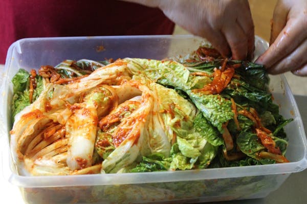 Traditional Korean kimchi is usually prepared with napa cabbage.