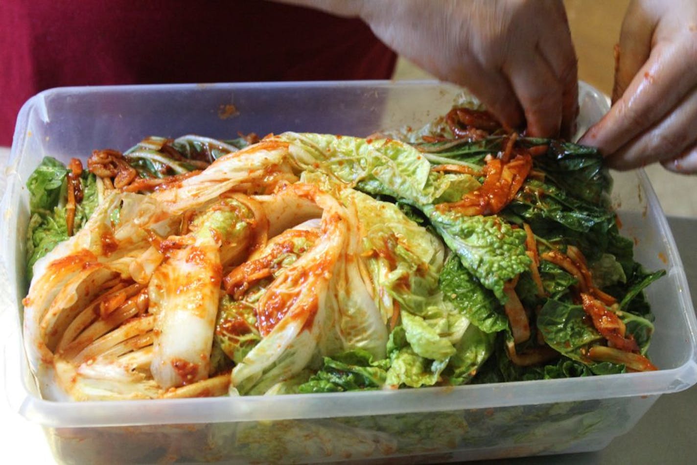 Traditional Korean kimchi is usually prepared with napa cabbage.