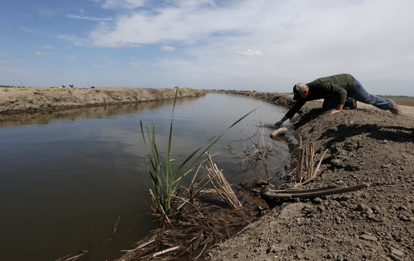 In this May 18, 2015, photo, Gino Celli drew a water sample to check the salinity in an irrigation canal that runs through his fields near Stockton, Calif. California regulators last month accepted a historic offer by farmers to make a 25 percent voluntary water cut to avoid deeper mandatory losses during the drought.