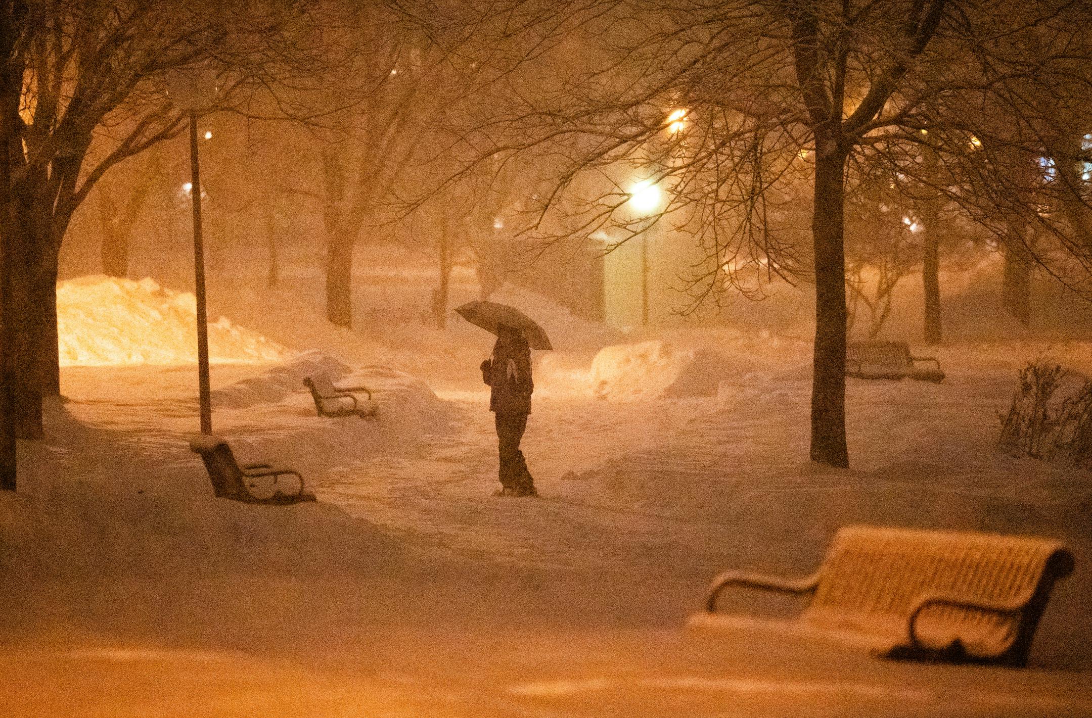 Snow turned Loring Park into a winter wonderland. ] MARK VANCLEAVE • Despite forecasts predicting nearly a foot of snow across the metro, rain persisted across the southwest metro well into the afternoon Saturday, March 9, 2019.