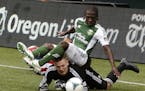 Chivas USA goalie Patrick McLain, bottom, dives to get the ball as Portland Timbers midfielder Diego Chara falls on top of him during the second half 