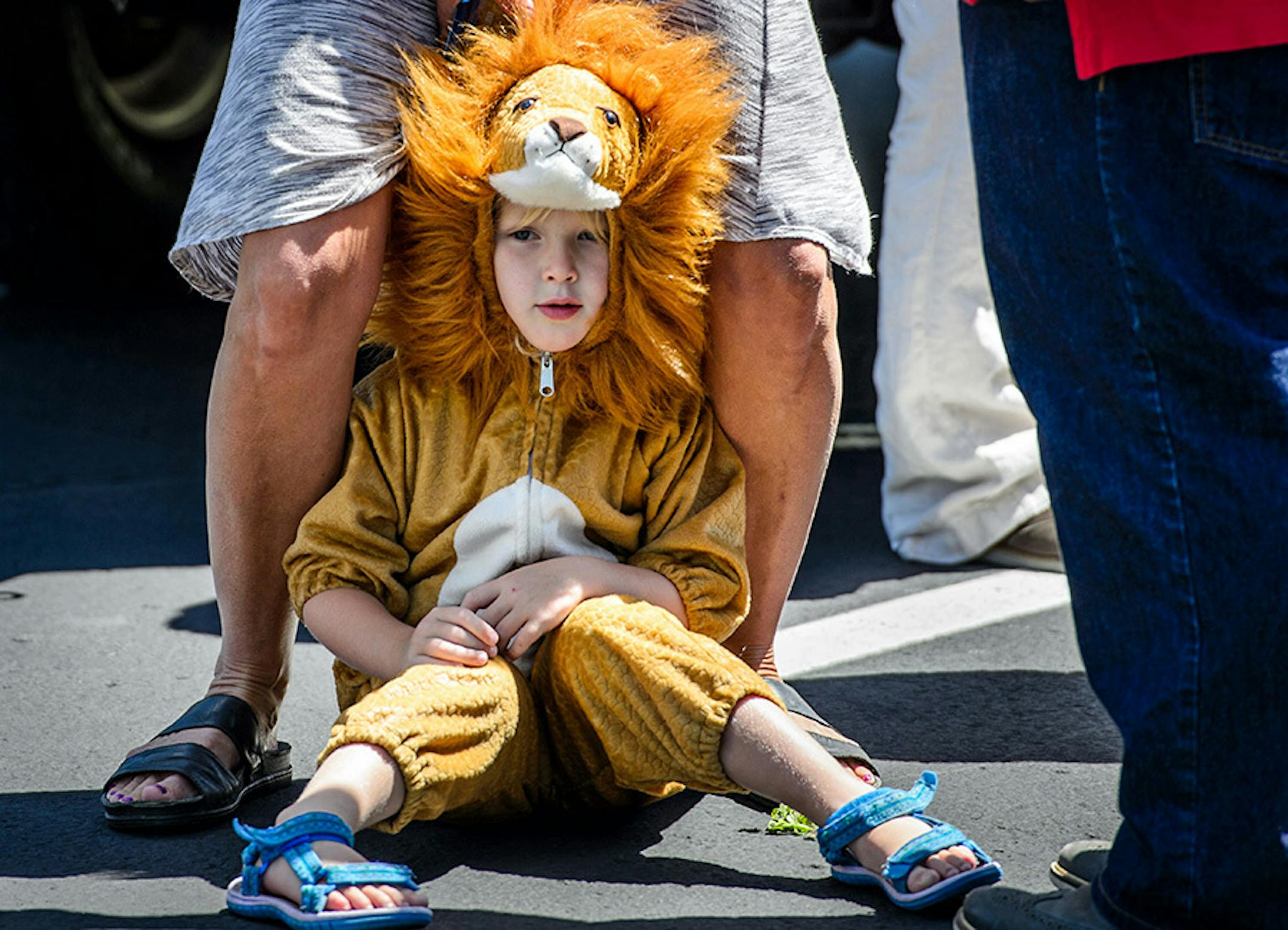 Quinn Madison, 5, came to the animal rights protest outside River Bluff Dental in Bloomington, Minn., dressed as a lion on July 29, 2015.