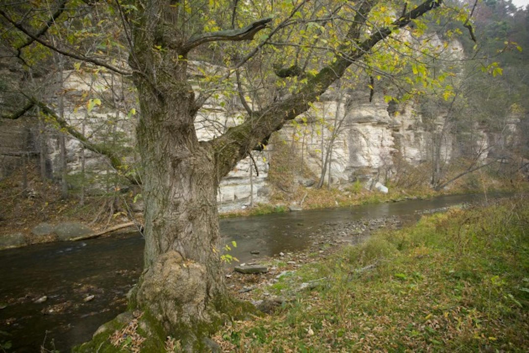 Fillmore County, Vreeman Stream