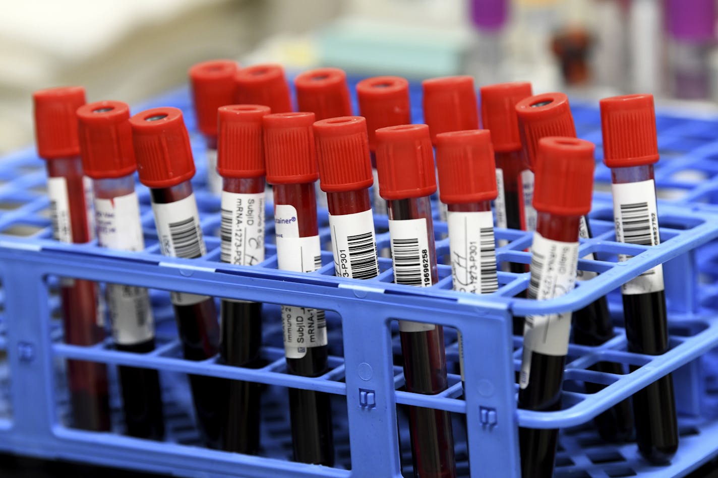 FILE — In this Wednesday, Sept. 2, 2020 file photo, blood samples from volunteers participating in the National Institutes of Health-funded Moderna COVID-19 vaccine third phase clinical trail wait to be processed in a lab? at the University of Miami Miller School of Medicine in Miami. Creating vaccines and properly testing them less than a year after the world discovered a never-before-seen disease is incredible. But the two U.S. front-runners are made in a way that promises speedier development