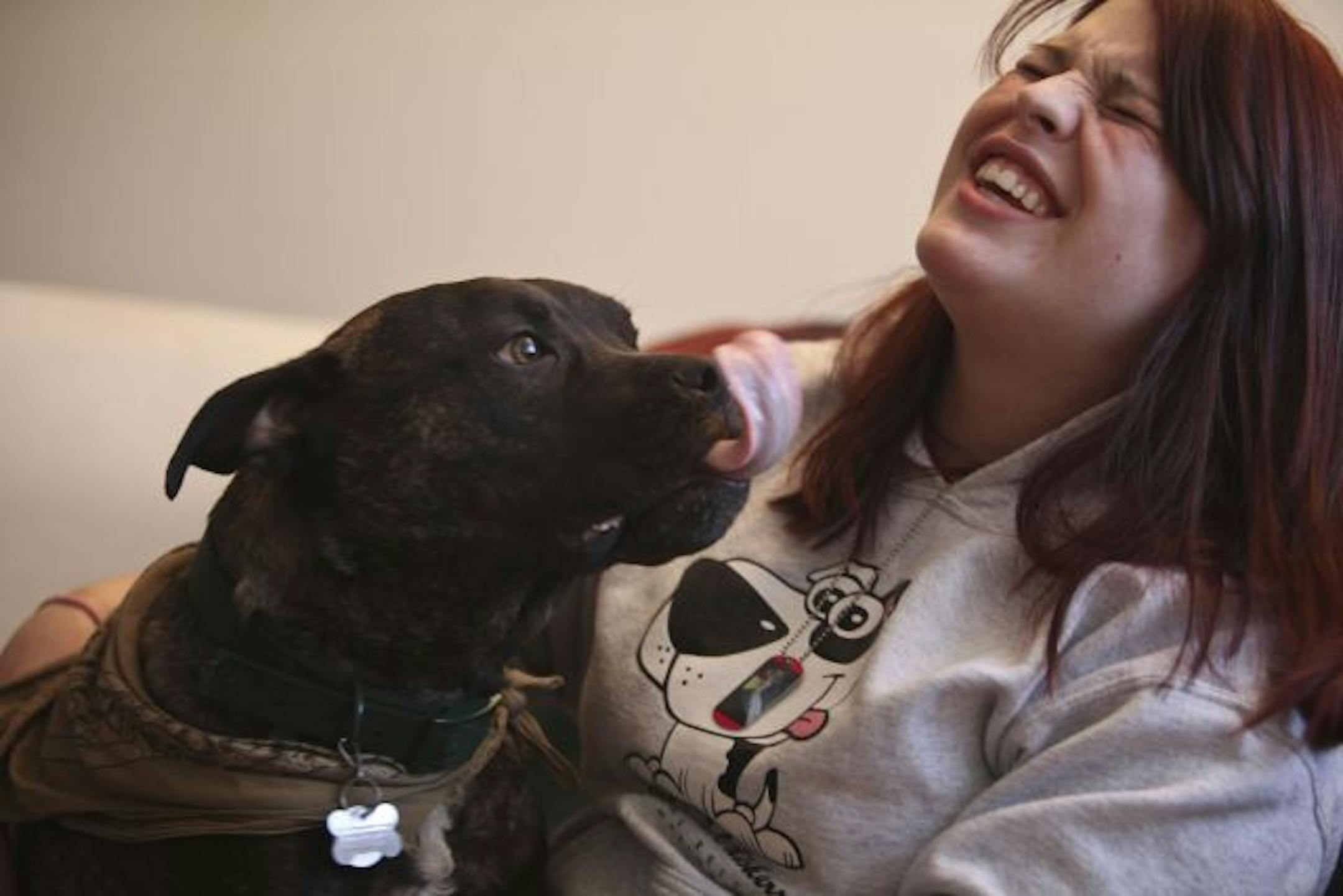 Laura Houlding, 19, laughed after being licked by Pete, a pit bull mix, that she walks for Wags & Whiskers Animal Rescue.. Houlding signed a non-compete agreement one month into her job at a doggy daycare that she lost three months later. Now she can't work at any business related to pet grooming for two years