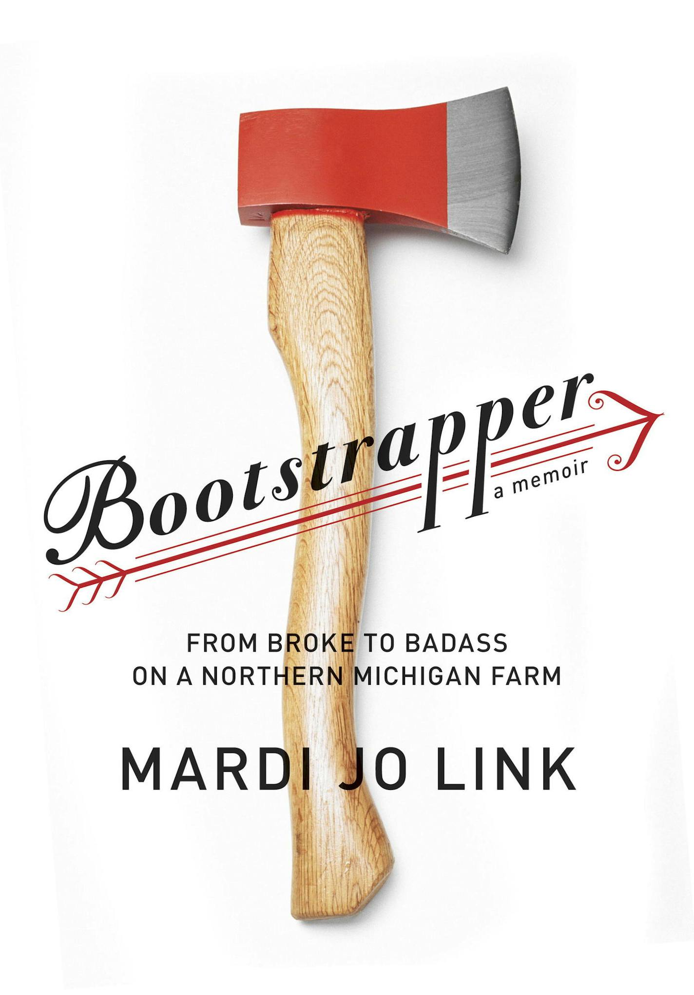 "Bootstrapper," by Mardi Jo Link.