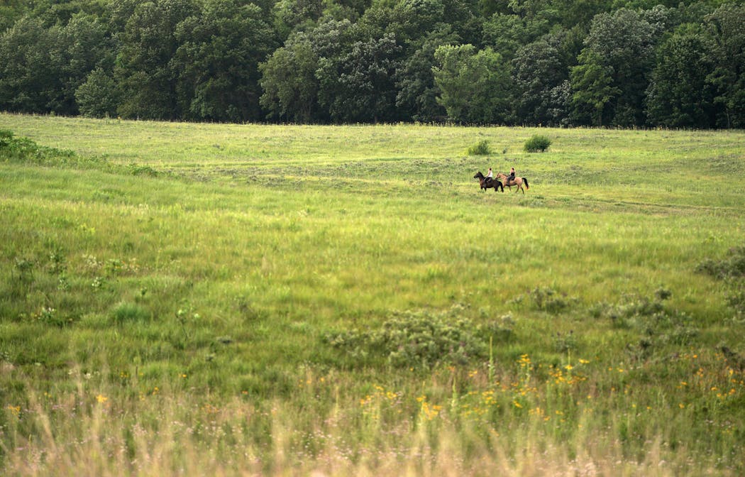 Horseback riders are known to navigate prairie paths at Crow-Hassan Park Reserve in Hanover, Minn.