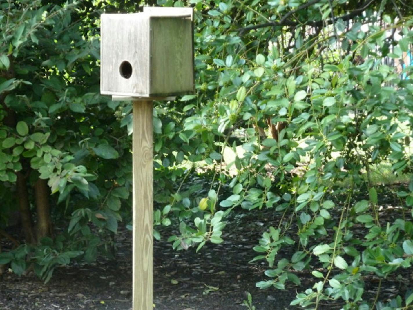 The security camera is inside the birdhouse.