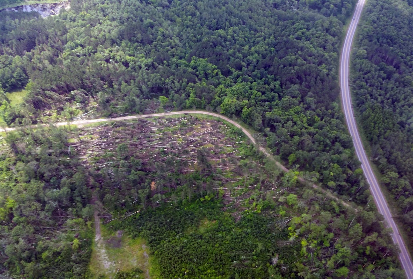 View from above of downed trees at Pillsbury State Forest near Brainerd on July 14, 2015.