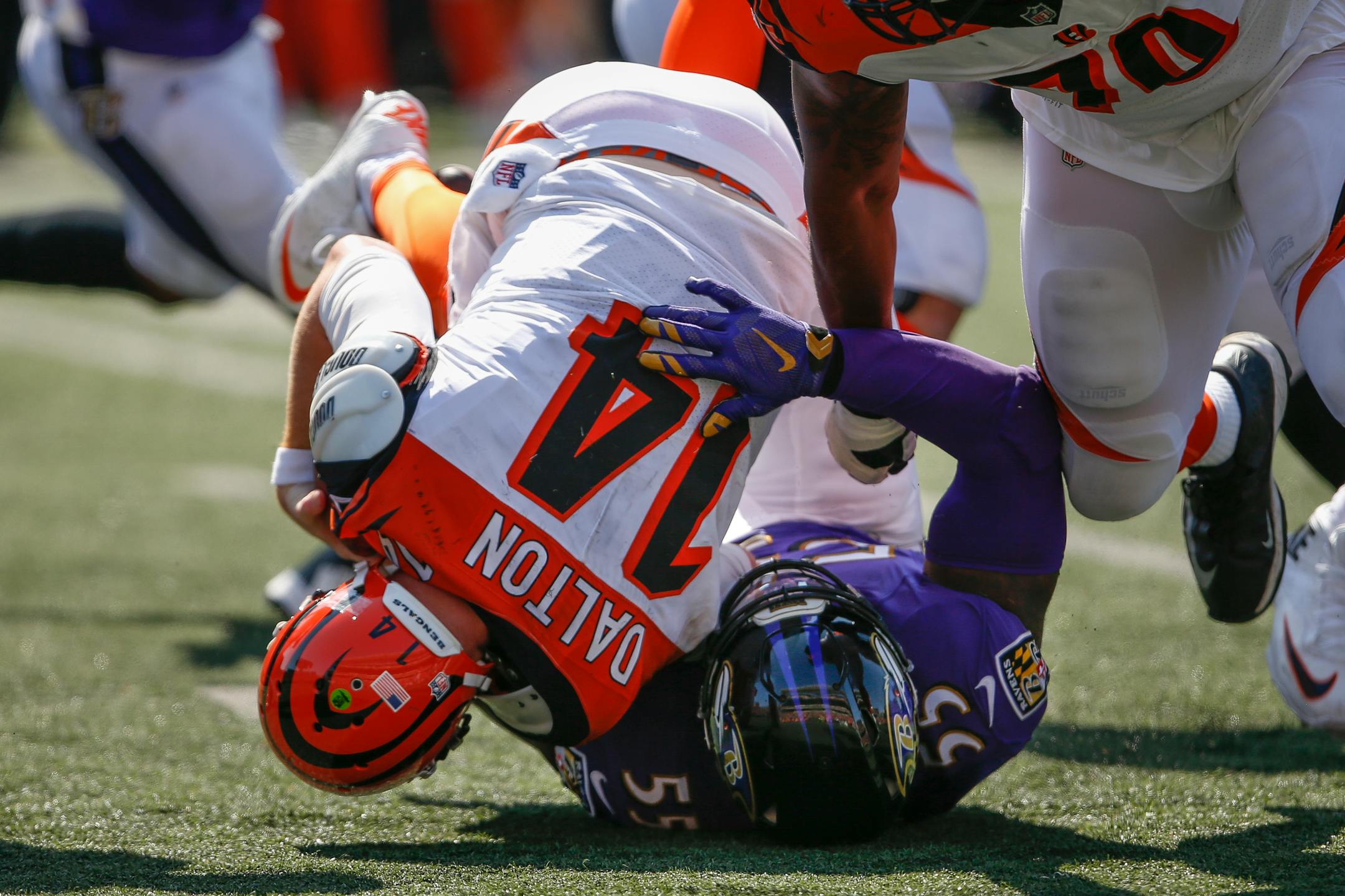 Baltimore Ravens outside linebacker Terrell Suggs (55) sacks Cincinnati Bengals quarterback Andy Dalton (14) in the second half of an NFL football game, Sunday, Sept. 10, 2017, in Cincinnati. (AP Photo/Gary Landers)