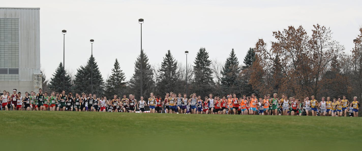 The Minnesota State high School League held the state meet for boys and girls cross country at St. Olaf College in Northfield on Saturday, Nov. 3, 2018. ] Shari L. Gross • shari.gross@startribune.com