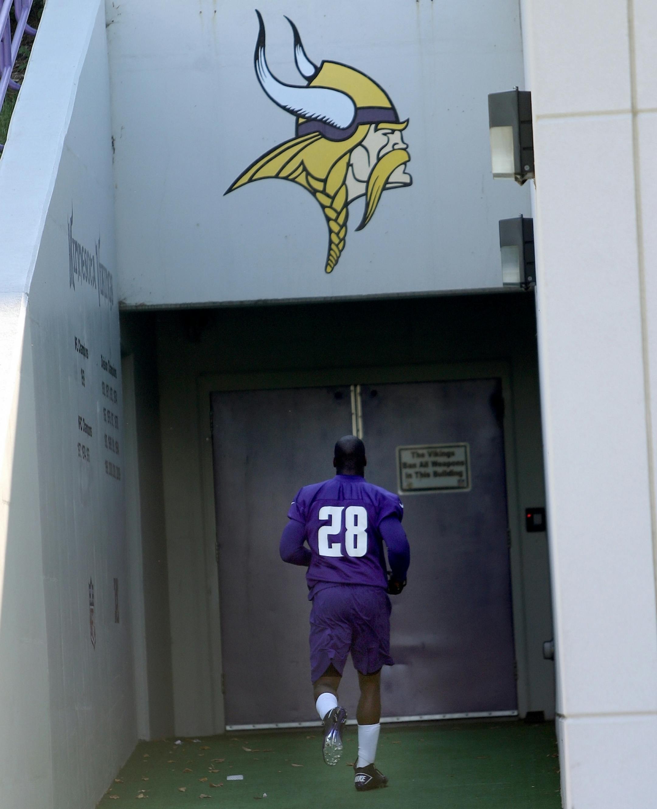Adrian Peterson made his way off the field during practice at Winter Park, Friday, October 11, 2013 in Eden Prairie