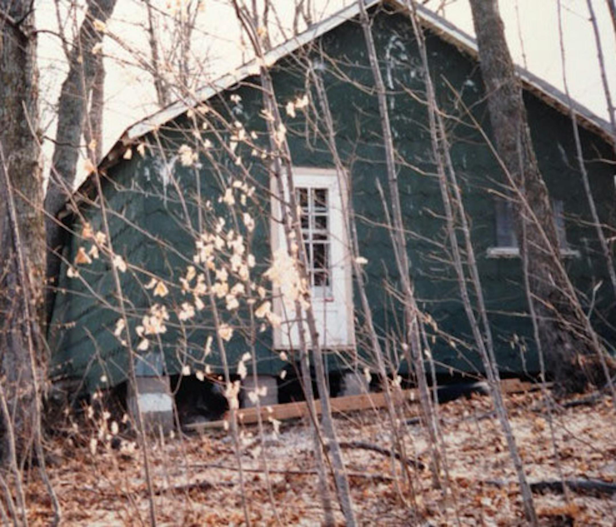 Annette Olson cabin, original