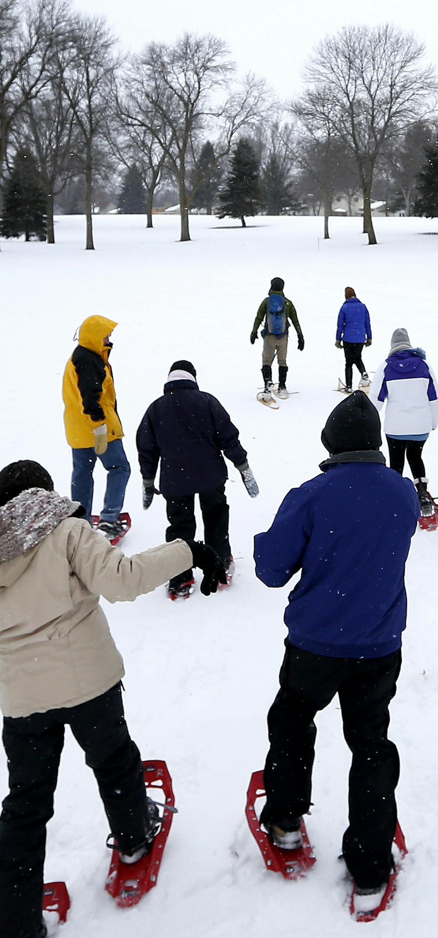 Couples made their way through the golf course during a Valentine Snowshoe walk put on by the Three Rivers Park District at the New Prague Golf Club on Sunday. ] CARLOS GONZALEZ cgonzalez@startribune.com - February 14, 2016, New Prague, MN, Valentine Snowshoe. Enjoy a casual snowshoe hike through the winter woods with your special someone, Three Rivers Park District, New Prague Golf Club