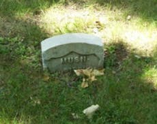 Grave of William (Billy) Bircher, Oakland Cemetery, St. Paul