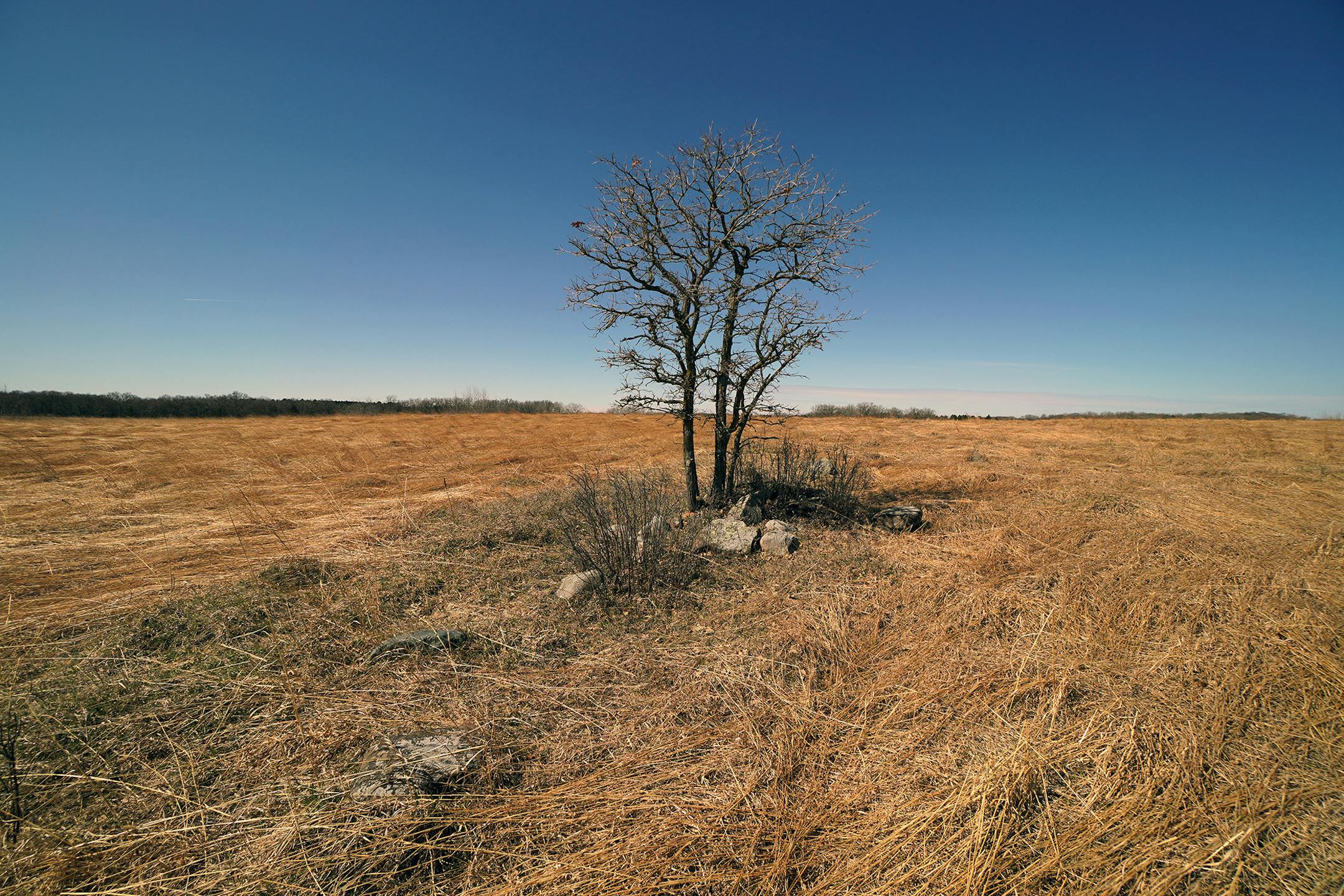 The Amador Prairie before green-up at Wild River State Park near Center City, Minn.
