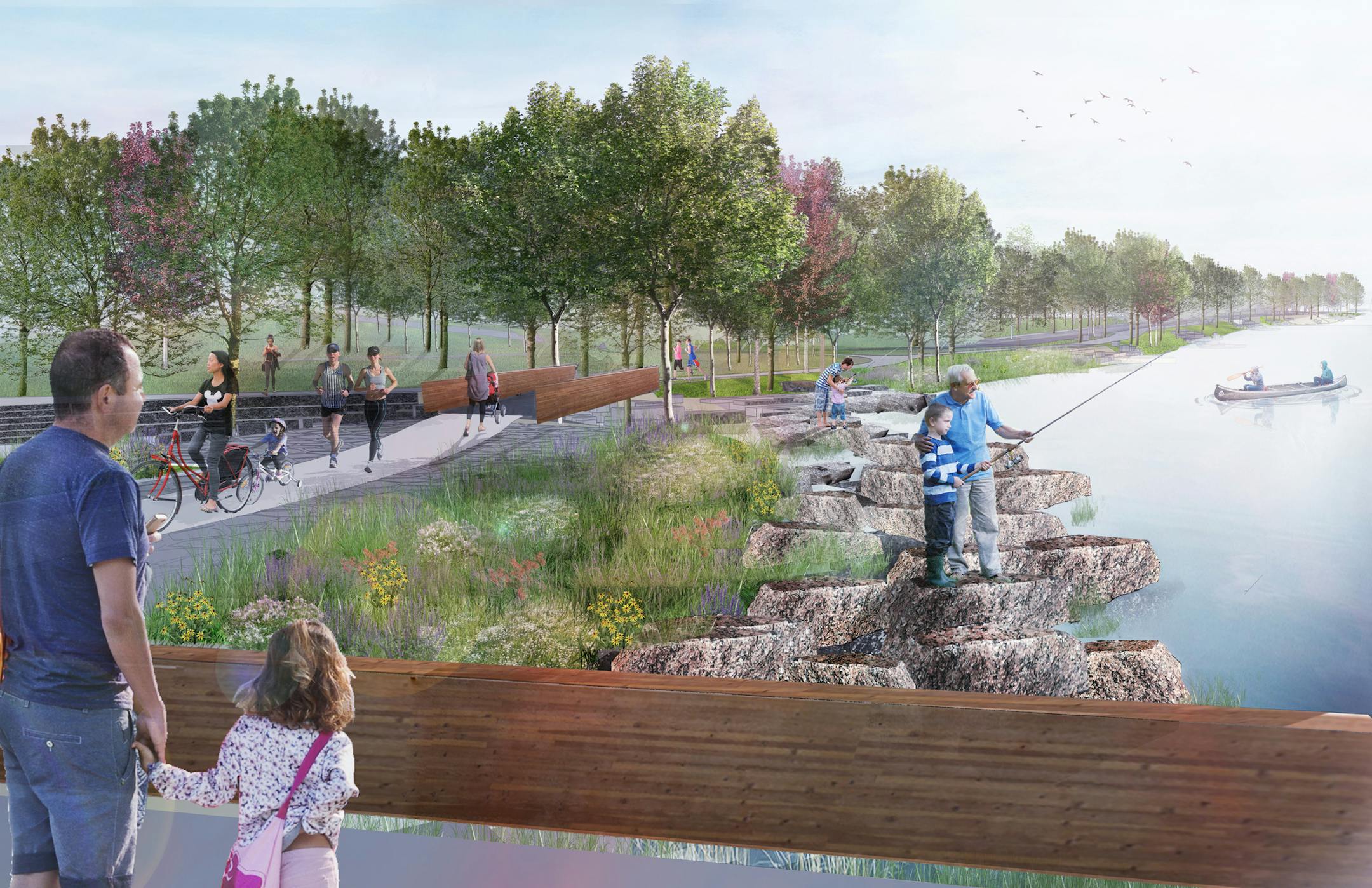 Rendering from Minneapolis-based landscape architecture company, Confluence, of a vision for revitalizing space along the Mississippi River in St. Cloud.