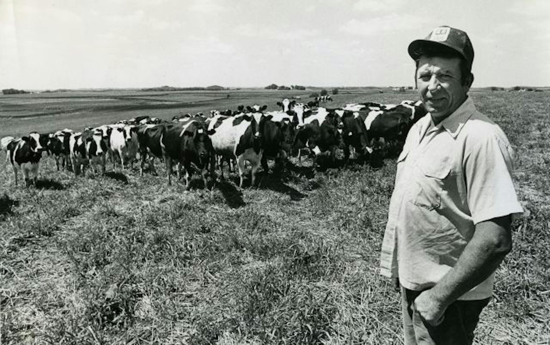 Millville, Minn., farmer Ed Hauck with his organically fed Holsteins.