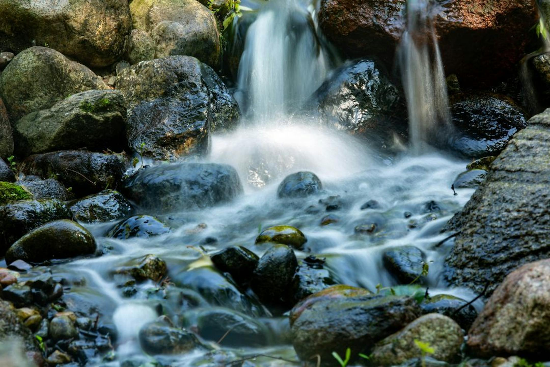 The sound of falling water drove the design of the water garden built on a natural hillside.