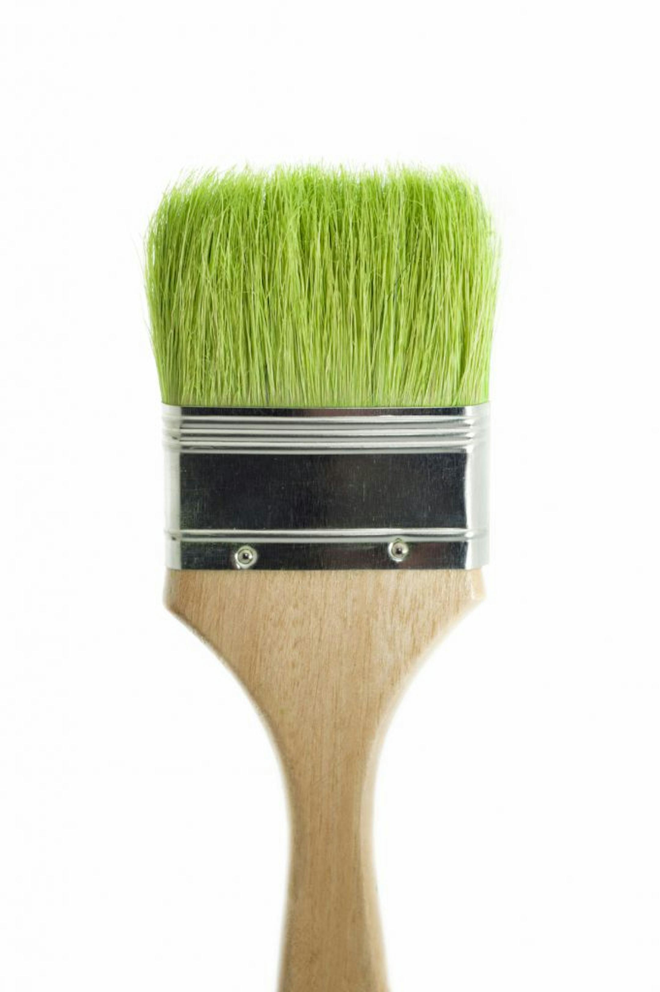 Green grass as paint brush bristlescredit: Istockphoto.com