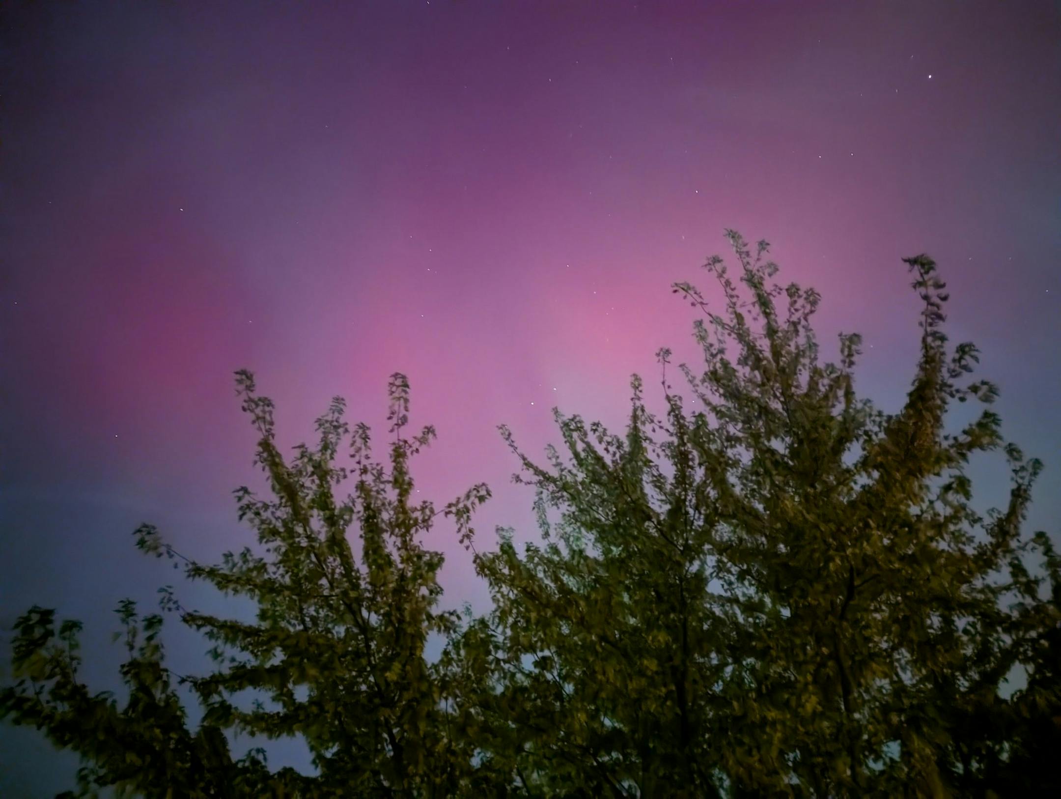 The northern lights.