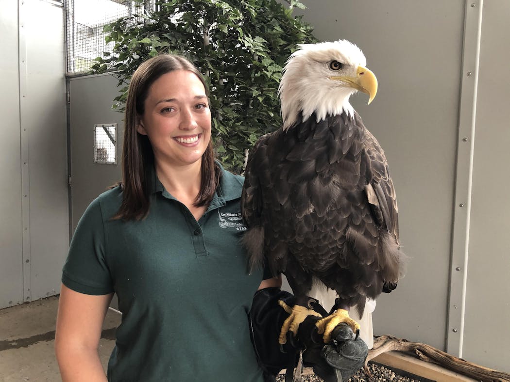 Dr. Victoria Hall, executive director at the Raptor Center.