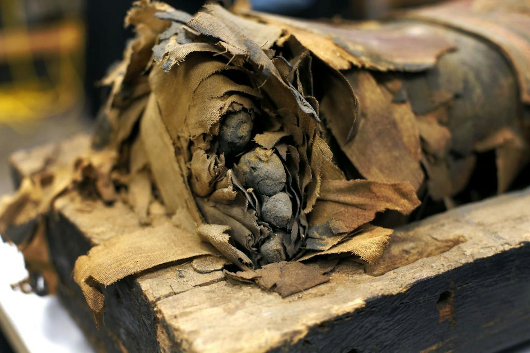In this photo taken Friday, Dec. 5, 2014, in Chicago, the mummified body of Minirdis, a 14-year-old Egyptian boy and his exposed toes lie in his opened coffin after J.P. Brown and his team of curators at the Field Museum opened the coffin for the first time to begin a conservation process on the 2,500-year-old boy before it becomes part of a traveling exhibition. Brown says they have to fix his burial mask, shroud, reconnect his detached feet, and do work this week to shore up the coffin and mum