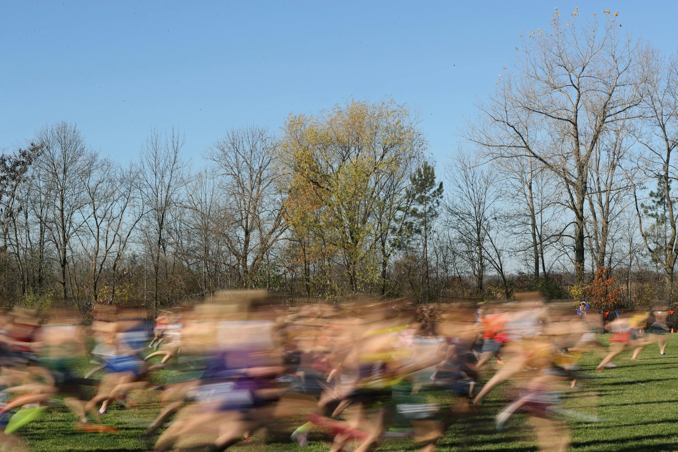 Class 1A girls start the race at the state high school cross country meet at St. Olaf College on Saturday, November 5, 2016.