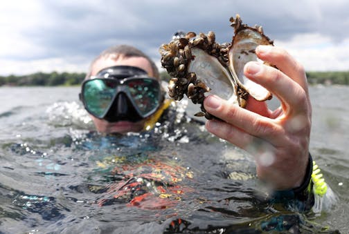 Invasive species such as zebra mussels and diseases affecting deer and other wildlife are among the threats to the outdoors at a time when fewer are paying the fees that fund the conservation fight.