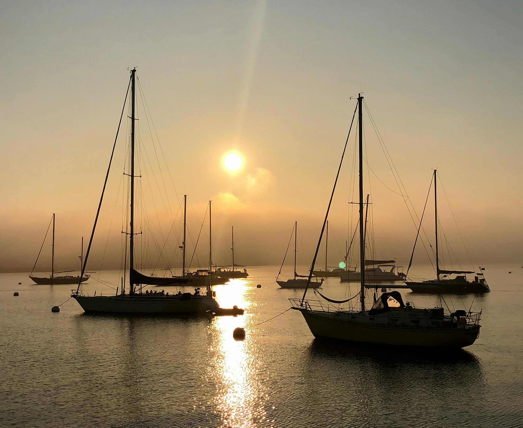 Thanks for the reply. I'm really happy you liked the photo and I'm excited that it will be printed. I've never submitted a photo before, but there was something about this one that made me think of the Star Tribune. My name is Mike Pelzel and I live in Lakeville, MN. The picture was taken July 16, 2018 at 5:15 am in Boston, MA. I was in Boston on a family vacation. The photo is looking out over the Boston Harbor in a neighborhood called The Waterfront. The photo shows sailboats docked at sunrise