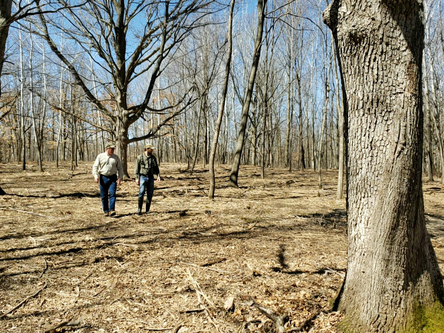 Matt Weegman, right, a biologist with the National Wild Turkey Federation, sees private landowners as part of the solution. He is shown with Gary Drotts of Brainerd who helps the wildlife group with oak habitat projects.