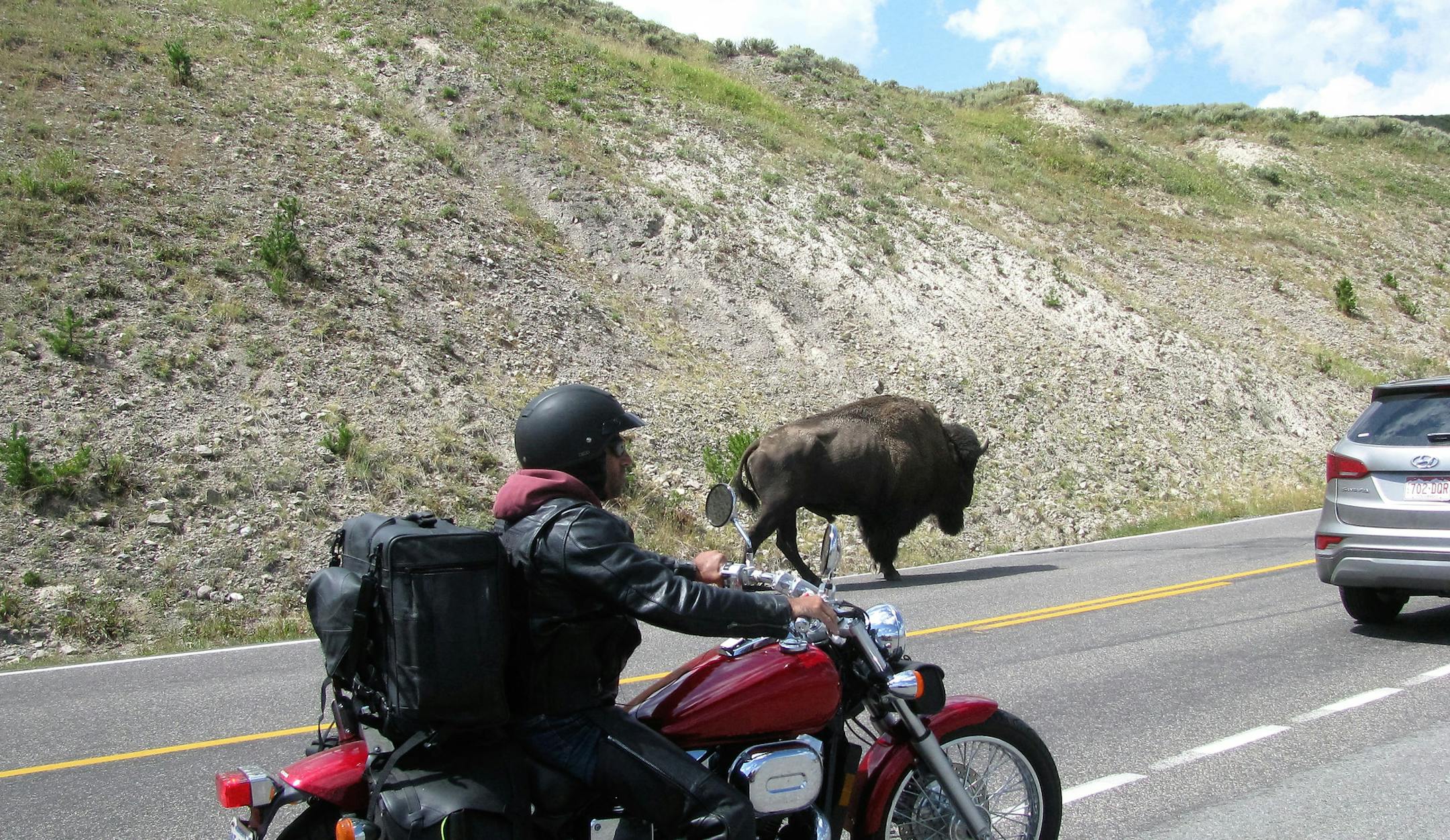 Getting up close and personal with a bison on the roads in Yellowstone.