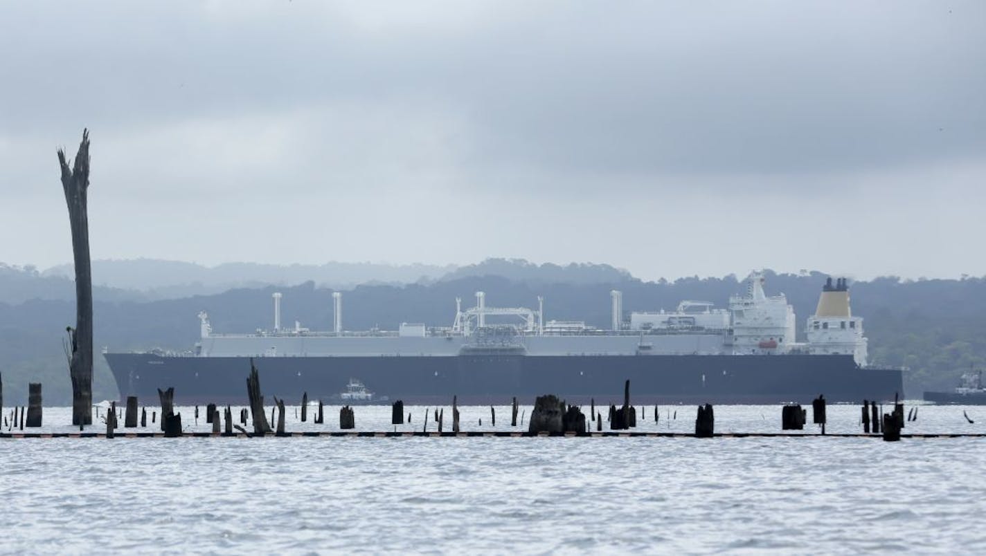 In this April 21, 2019 photo, a cargo ship transits the Panama Canal in its way to the Atlantic Ocean, while tree trunks that used to be submerged are exposed due to the low water levels of Gatún lake, Panama. An intense drought related to this year's El Nino phenomenon has precipitously lowered the level of Panama's Gatún Lake, forcing the country's Canal Authority to impose draft limits this week on ships moving through the waterway's recently expanded locks.