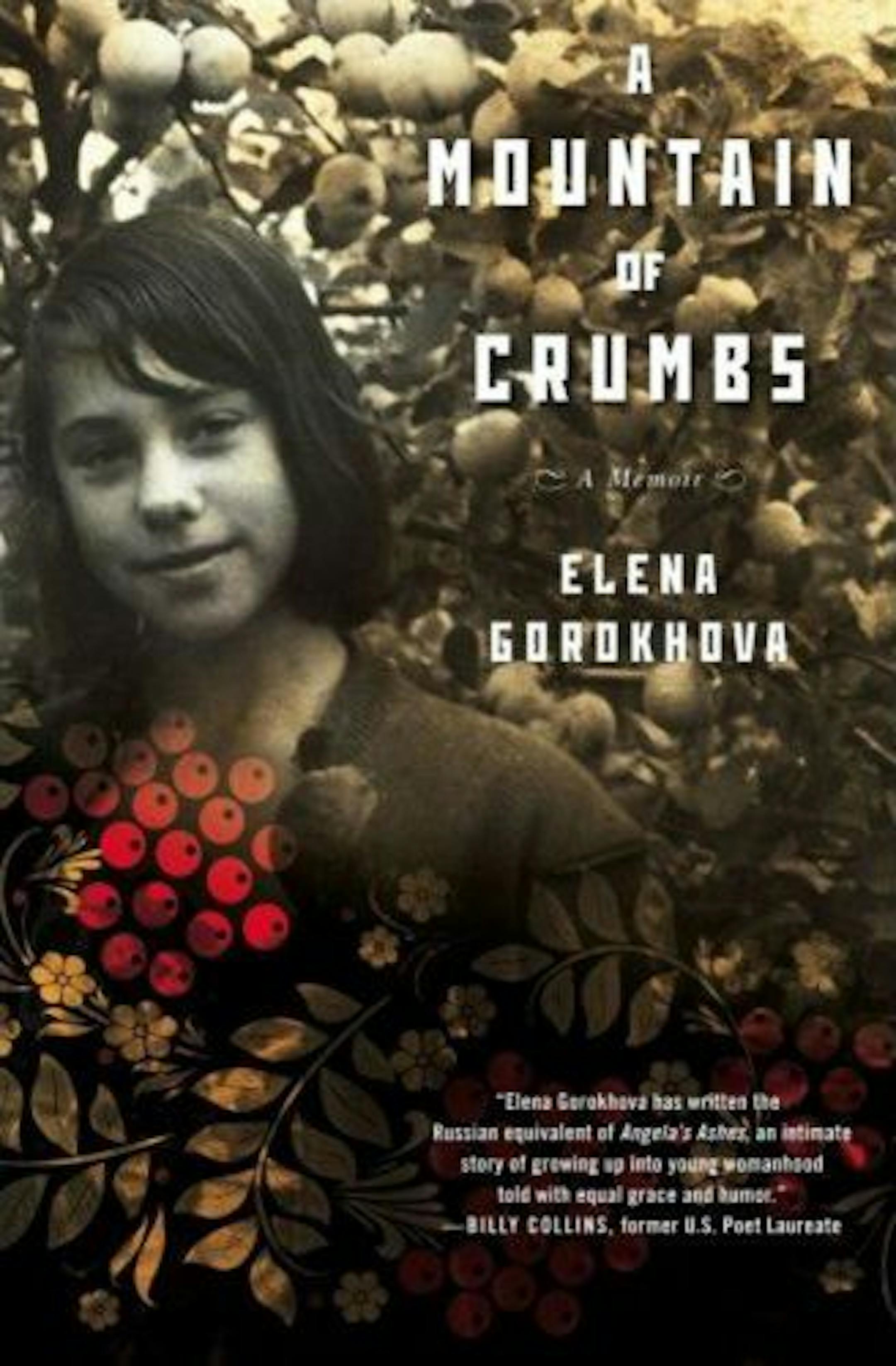 A Mountain of Crumbs by Elena Gorokhova