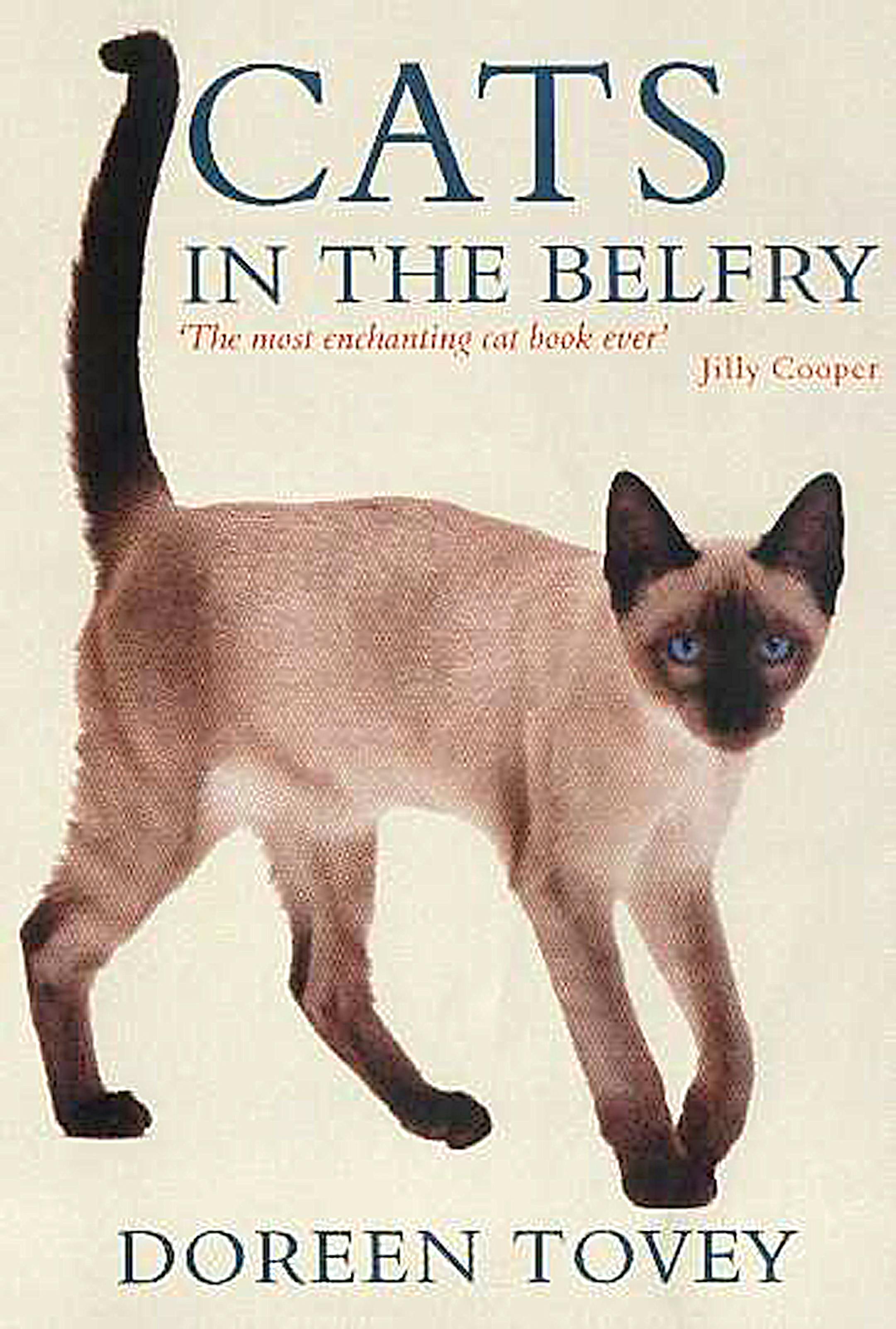 Cats in the Belfry