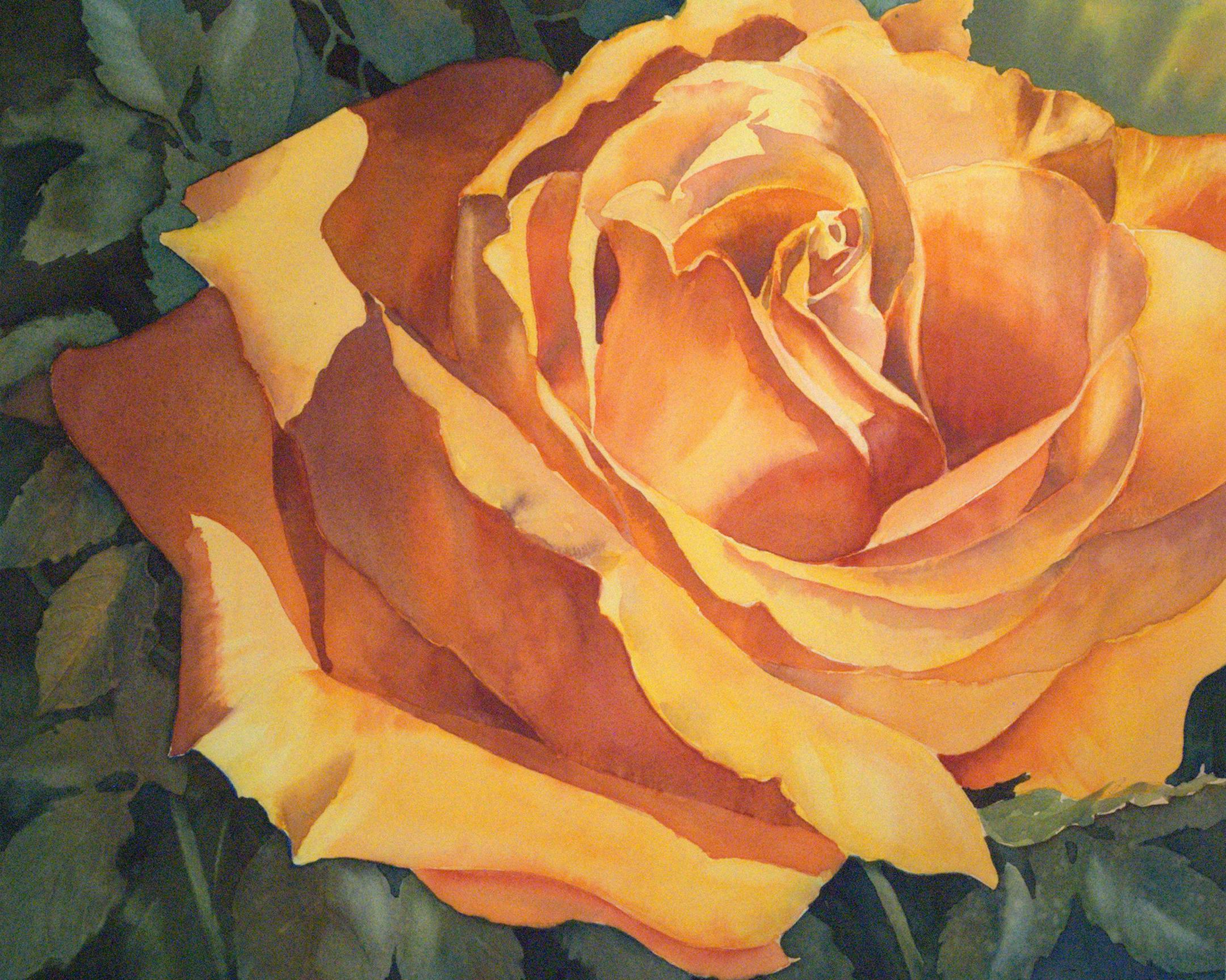 "Golden Glow" by Catherine Hearding
