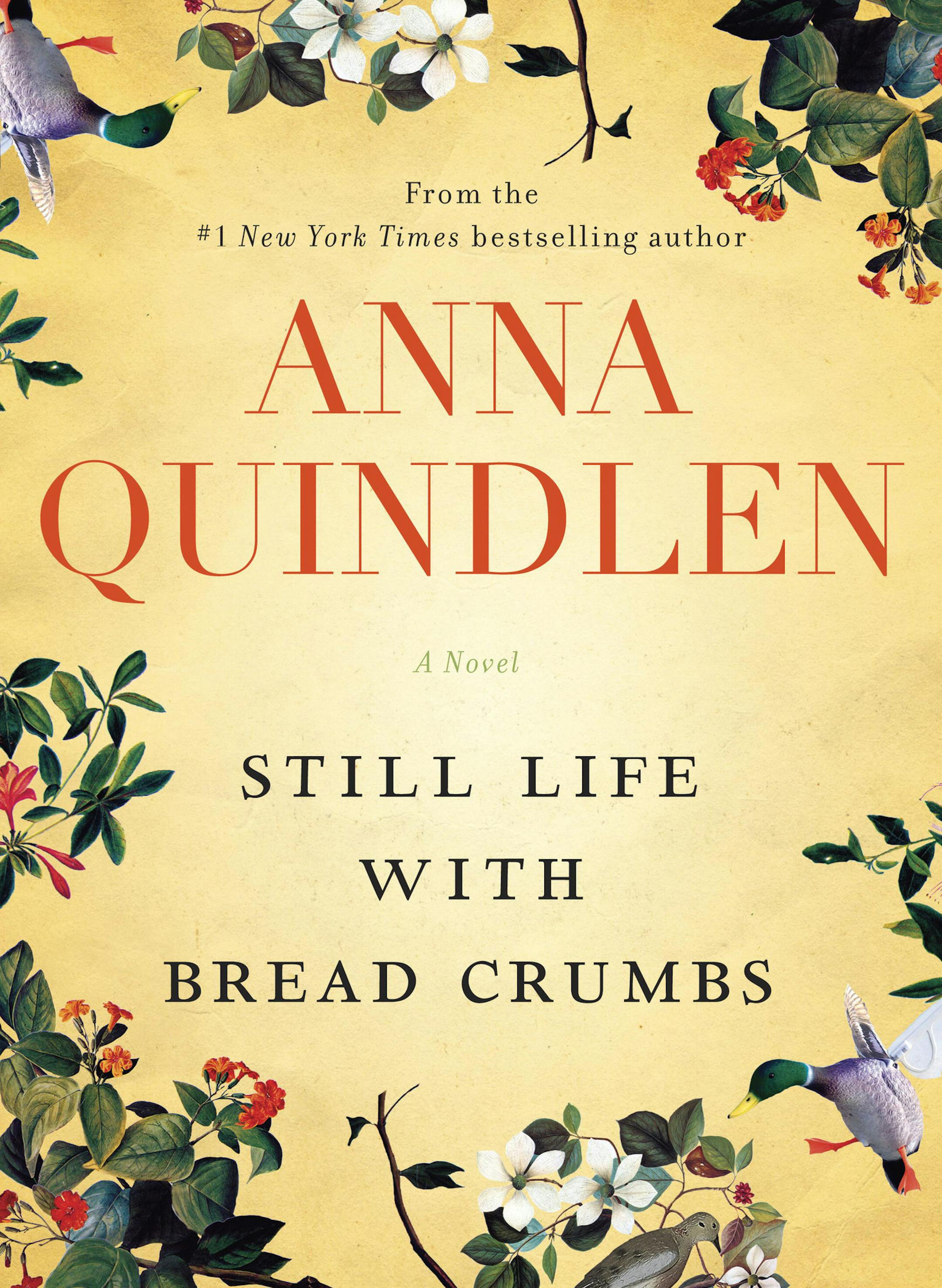 Still Life with Bread Crumbs by Anna Quindlen