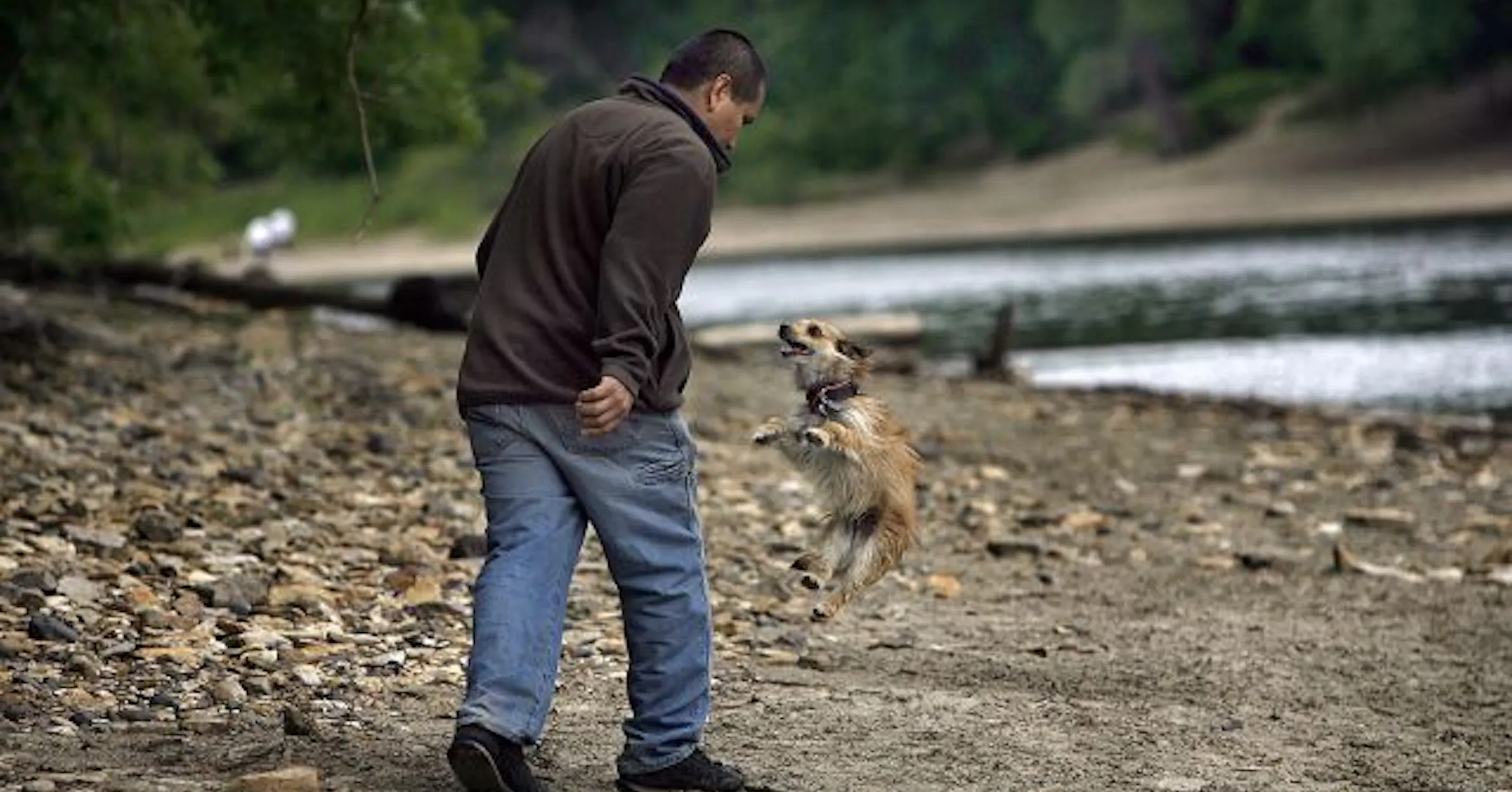 Minneapolis Park Board votes to end Minnehaha Off-Leash Dog Park