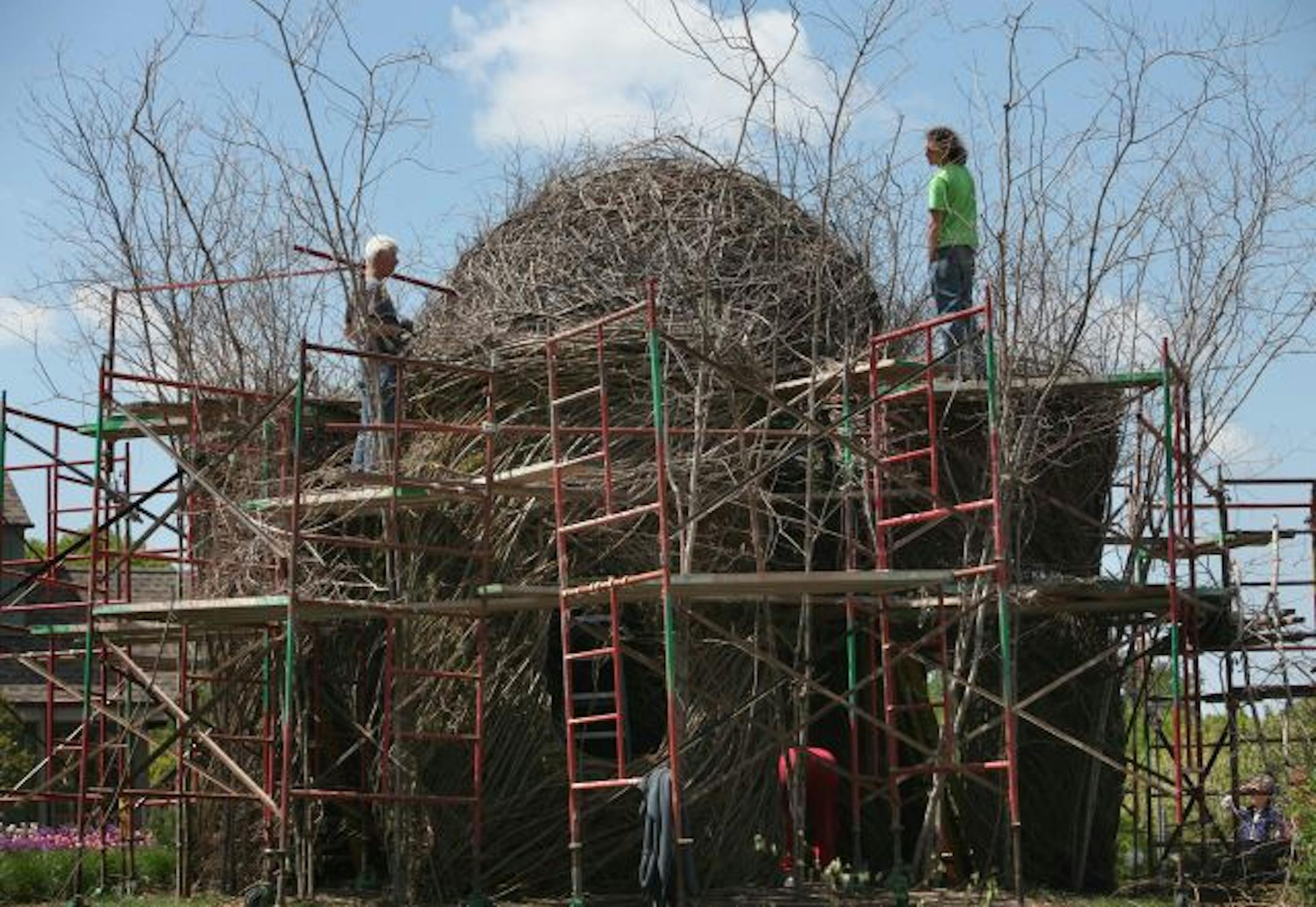 Left, North Carolina Artist Patrick Dougherty and volunteers are constructing an elaborate two-story folly of sticks and branches harvested from the Minnesota Arboretum and elsewhere.