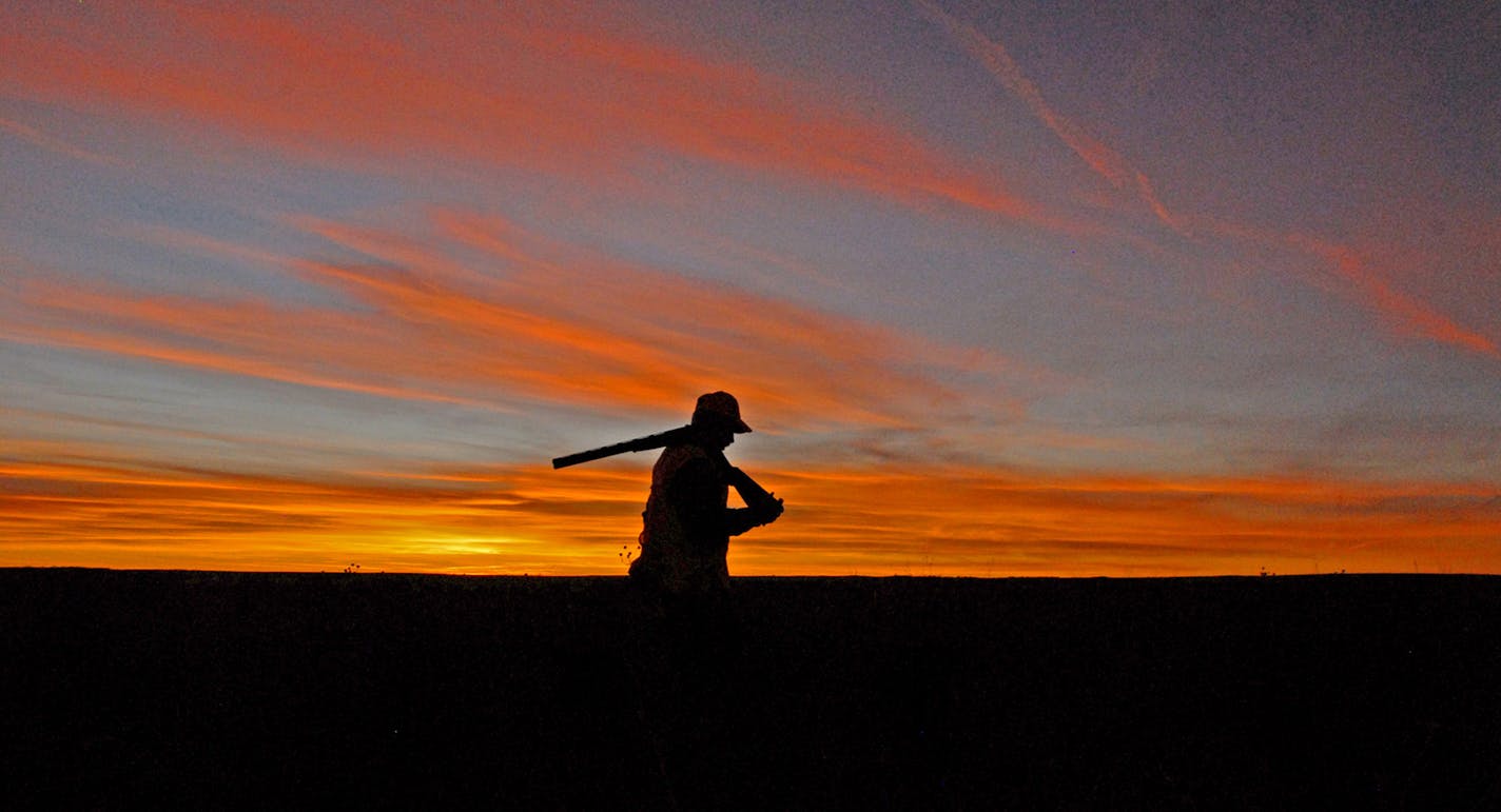 As the sun sets on another South Dakota pheasant-hunting season (it runs through Jan. 1), state wildlife officials are reporting a 5-percent decrease in license sales for both resident and nonresident upland hunters.
