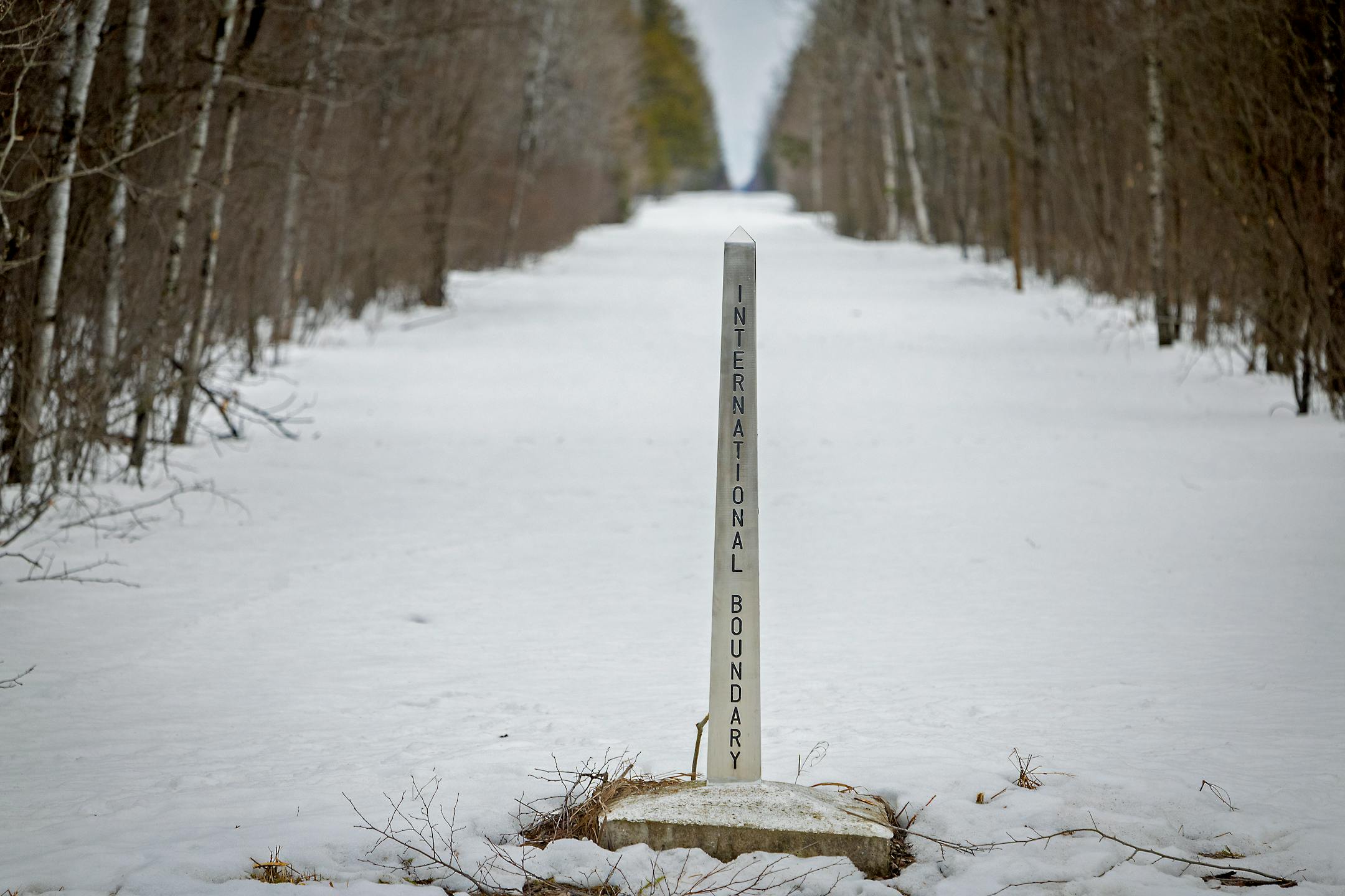 A line of trees mark the "wall" between the United State and Canada near Roseau, Minn., on Tuesday, March 22, 2022.