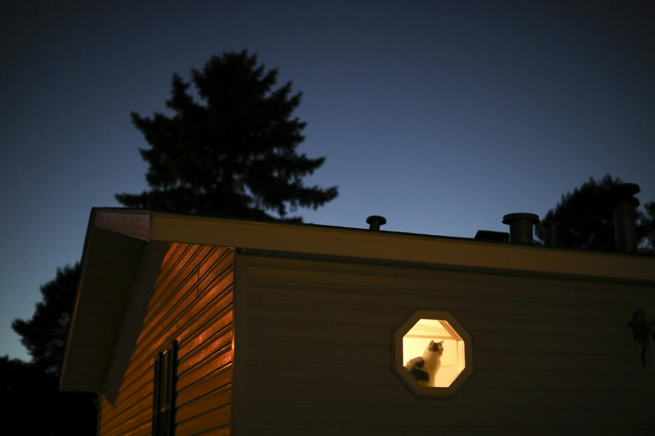 A cat sat in the window of a mobile home in the Lakeside Homes park in New Brighton.